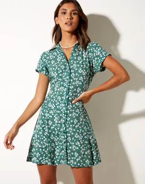 Holma Mini Dress in Floral Field Green