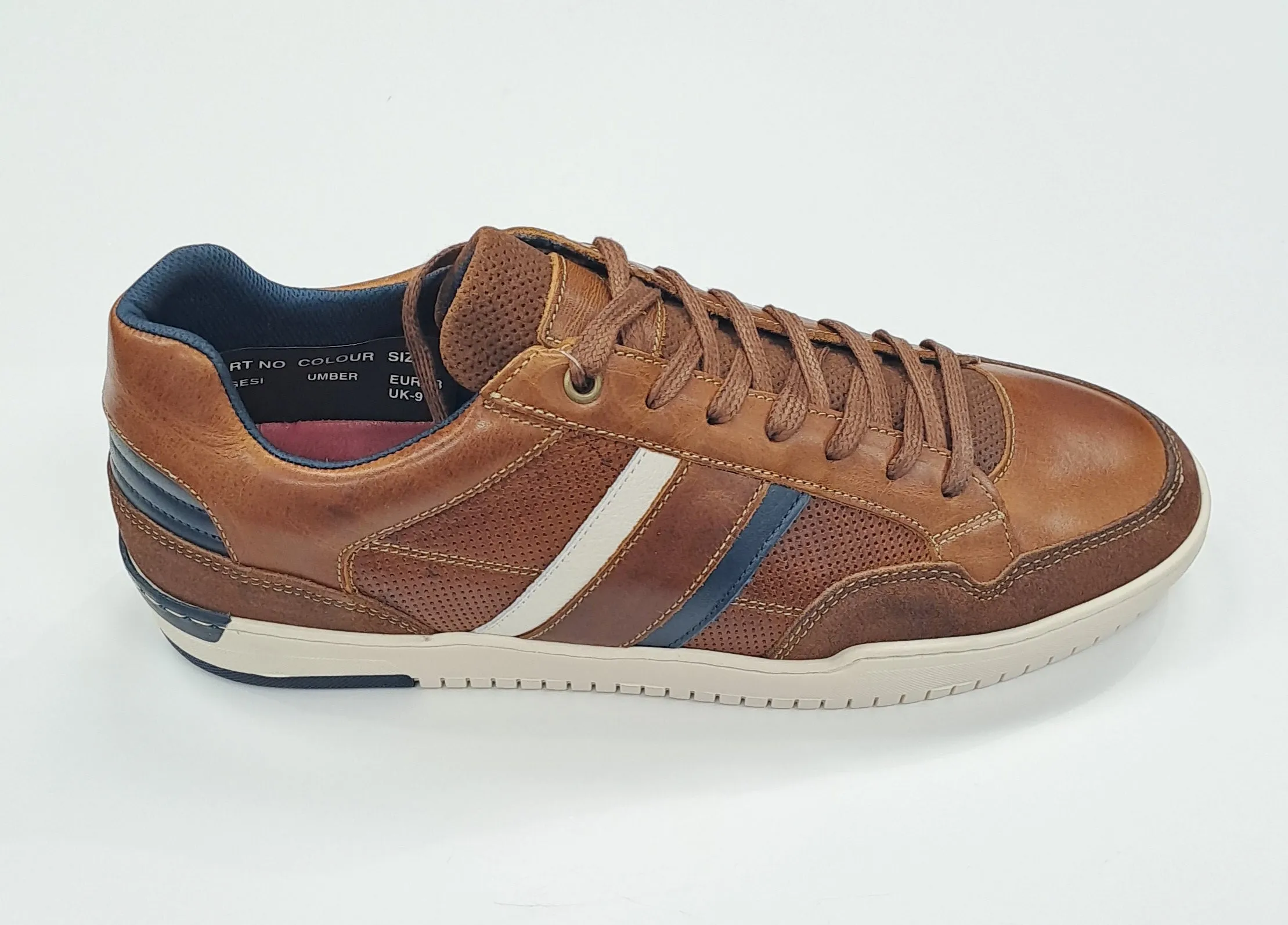 Lloyd & Pryce Gesi Casual Trainer - Umber