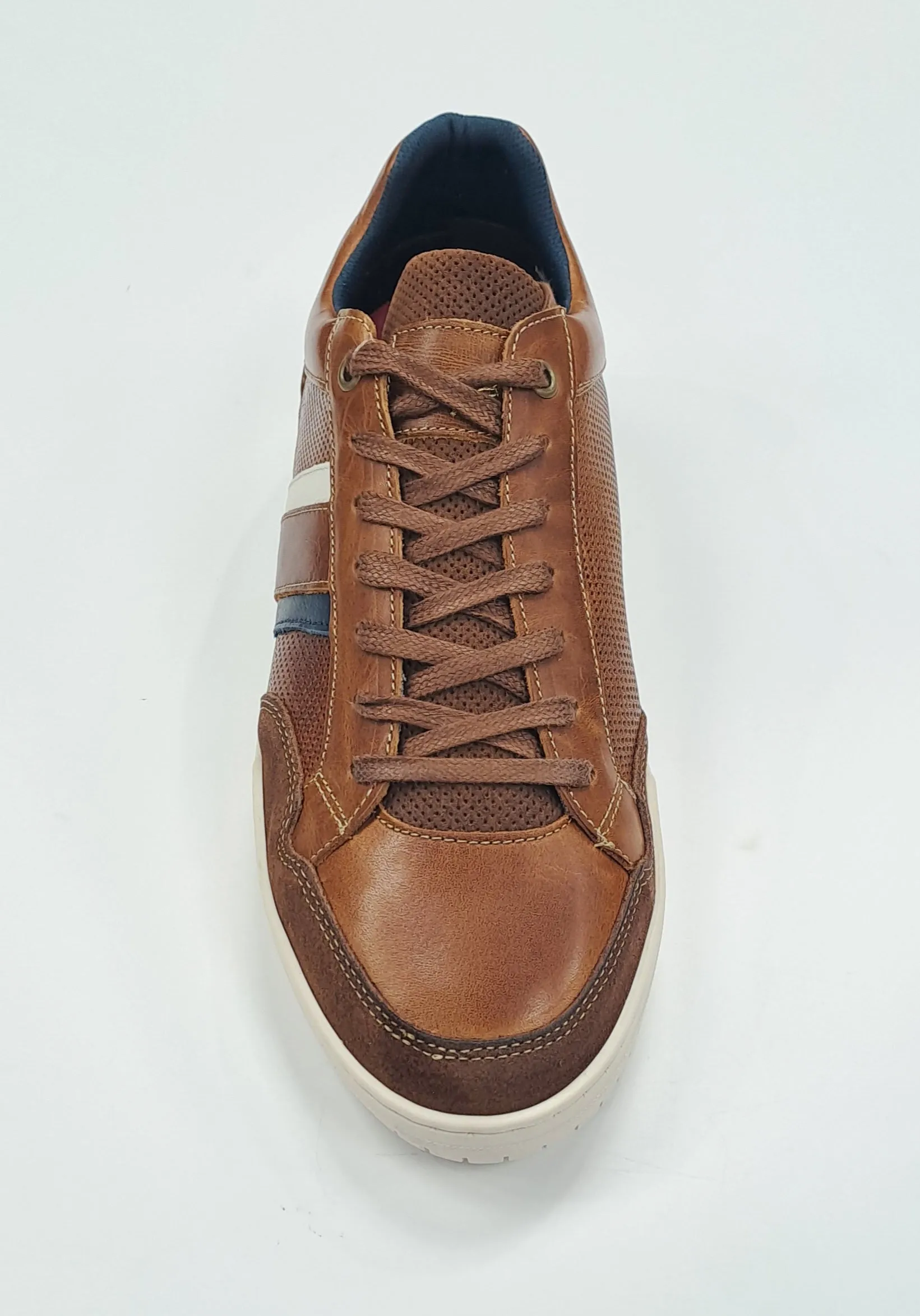 Lloyd & Pryce Gesi Casual Trainer - Umber