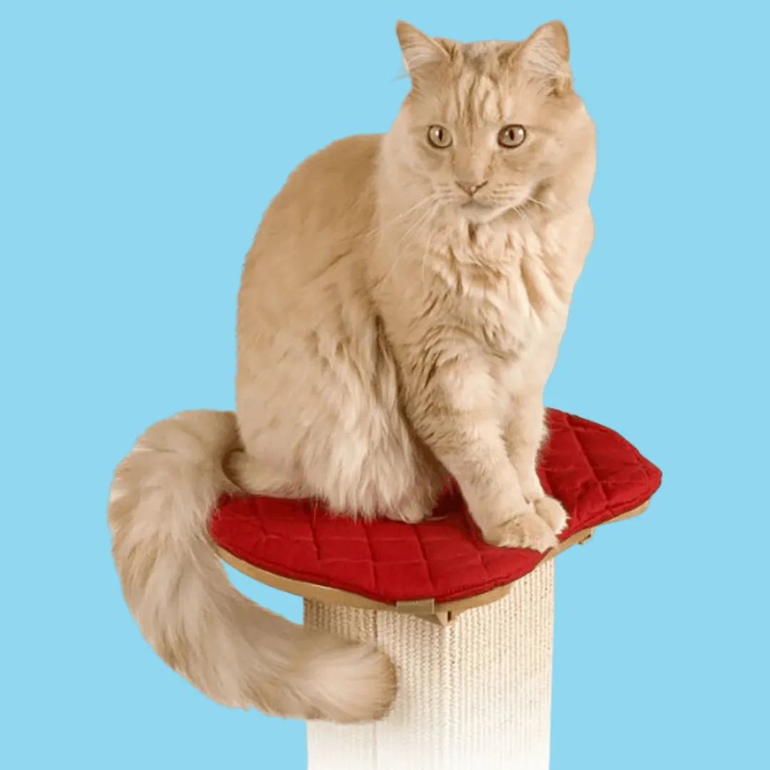 Pioneer Pet Ultimate Scratching Post Perch